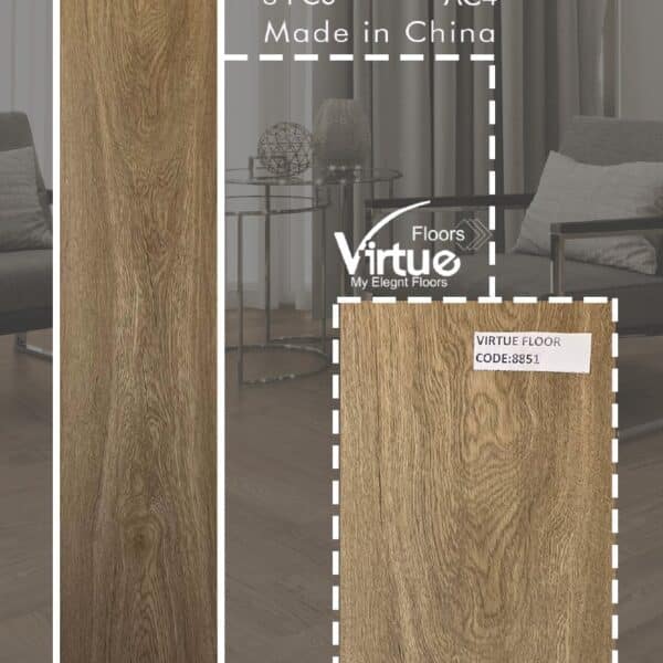 virtue-8851