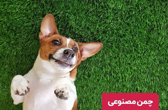 کفپوش فضای باز برای حیوانات خانگی